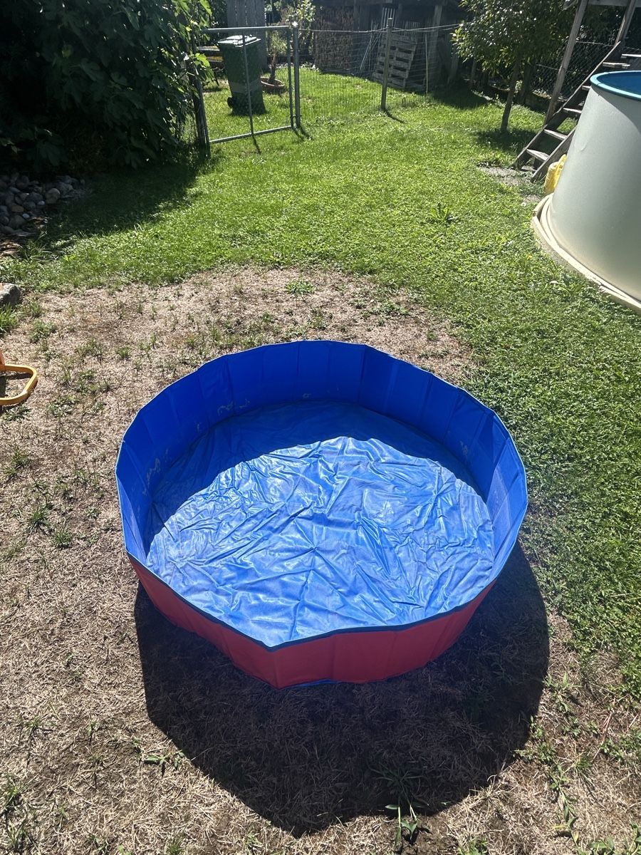 Schwimmbad: Hundepool – Gebraucht aus Boniswil von den_5bcy