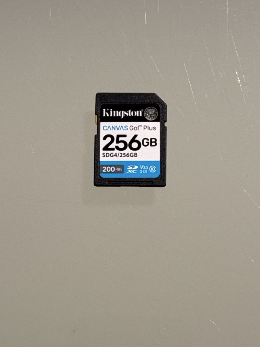 Kingston Schede di memoria: Kingston 256GB – Usato da Cadenazzo venduto da nick995