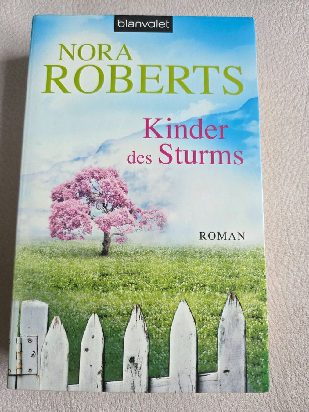 Libri: Nora Roberts - Kinder des Sturms – Usato da Bergdietikon venduto da Tanne_10