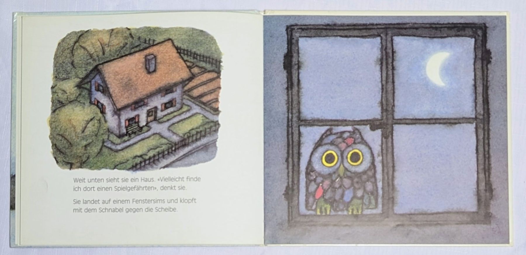 Libri: Die müde Eule - Marcus Pfister - (Der Regenbogenfisch) – Nuovo (secondo la descrizione) da Wängi venduto da ABIZONE-86 3
