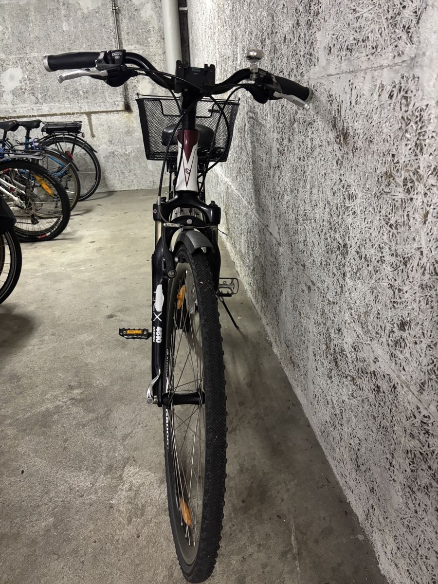Scott Biciclette: Scott Damen Fahrrad – Usato da Wil SG venduto da jessejames 2