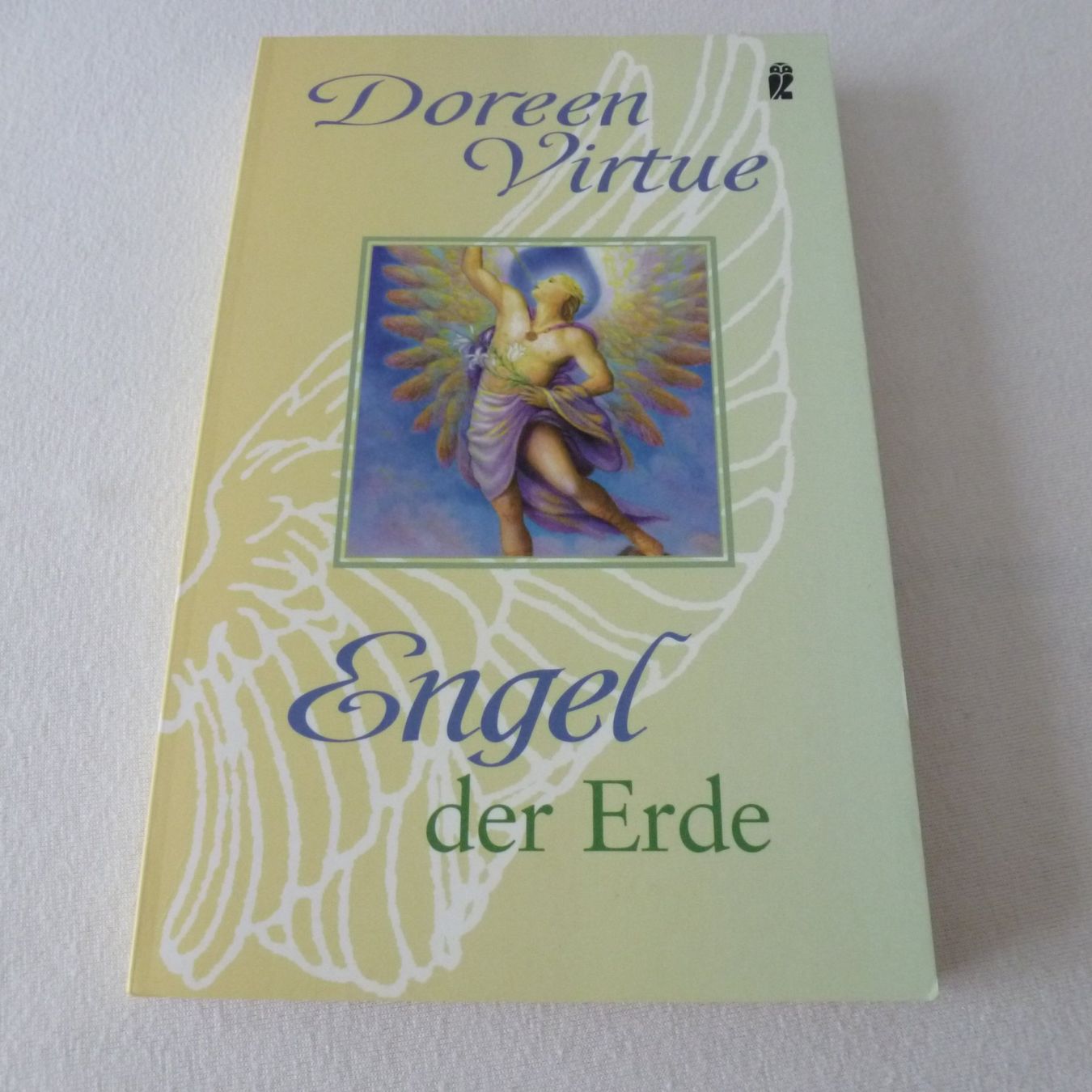 Bücher: Engel der Erde – Neu (gemäss Beschreibung) aus Mauren von Yeelen 1