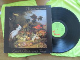 Procol Harum – Exotic Birds and Fruit LP, Top Zustand!
