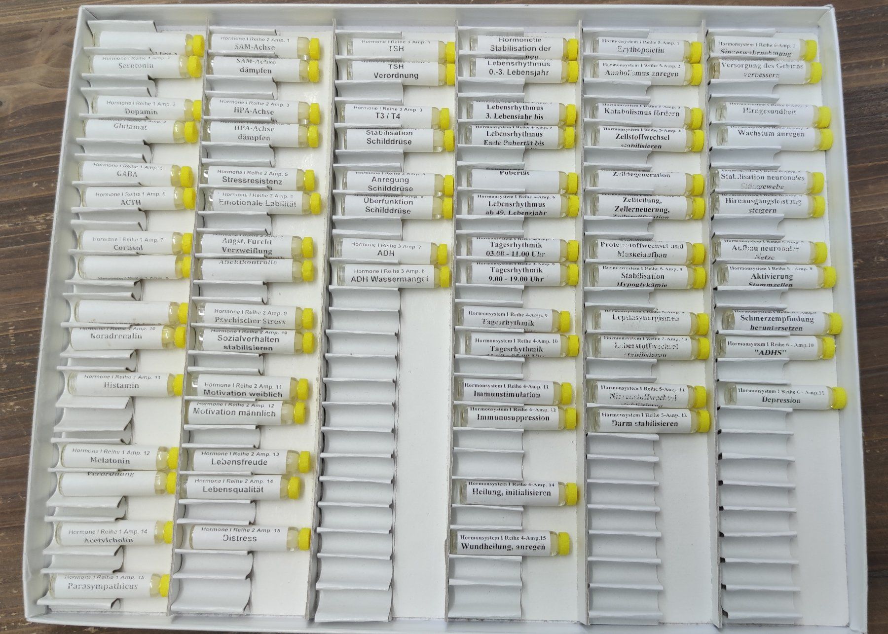 Attrezzature mediche: 2 Keymer Testkästen "Hormonsystem I + II" Bioresonanz/EAV – Usato da Eiken venduto da alipanther01