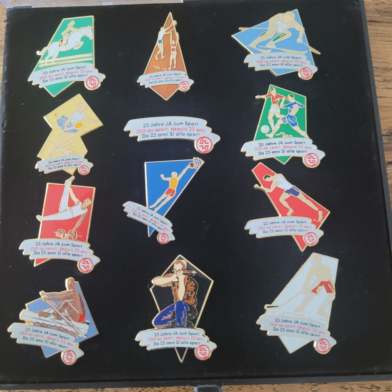 Placchette & Badge: Pins – Usato da Gossau SG venduto da Panni2000