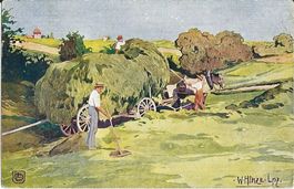 Landwirtschaf,Heuernte,Künstlerkarte
