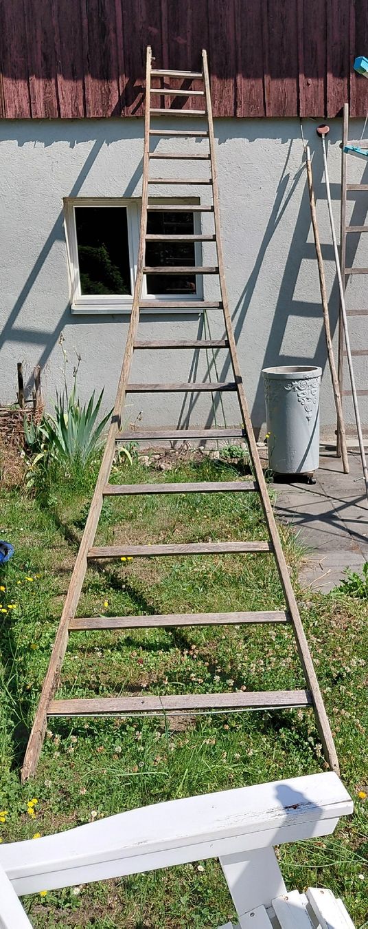 Leitern: Leiter gros – Gebraucht aus zuchwil von parson65