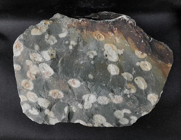 Minerali & Pietre curative: Greenplum Jaspis Rohstein – Nuovo (secondo la descrizione) da Walenstadt venduto da vkt_qc8d 1