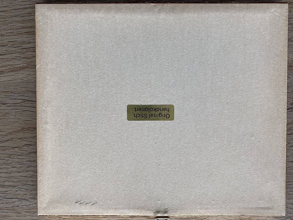 Incisioni: St. Gallen. Original Stich Handkoloriert – Usato da Zürich venduto da uts_789v 2