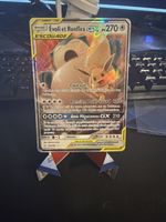 Pokémon FR Evoli et Ronflex GX 120/191