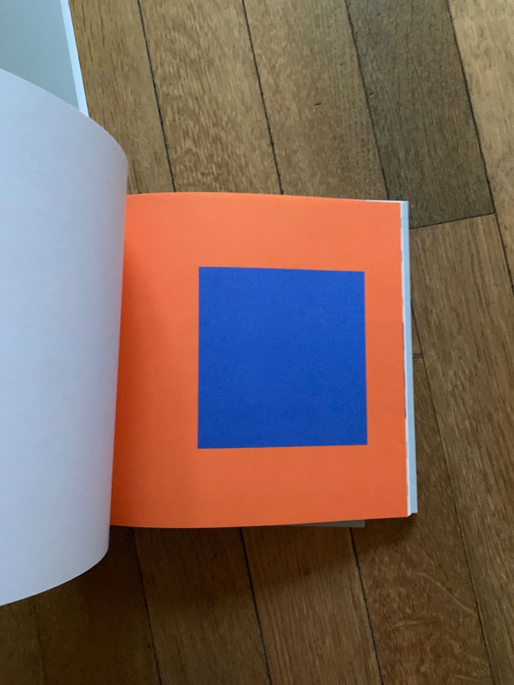 Libri: Ellsworth Kelly Line Form Color – Usato da Obfelden venduto da Zocci 1