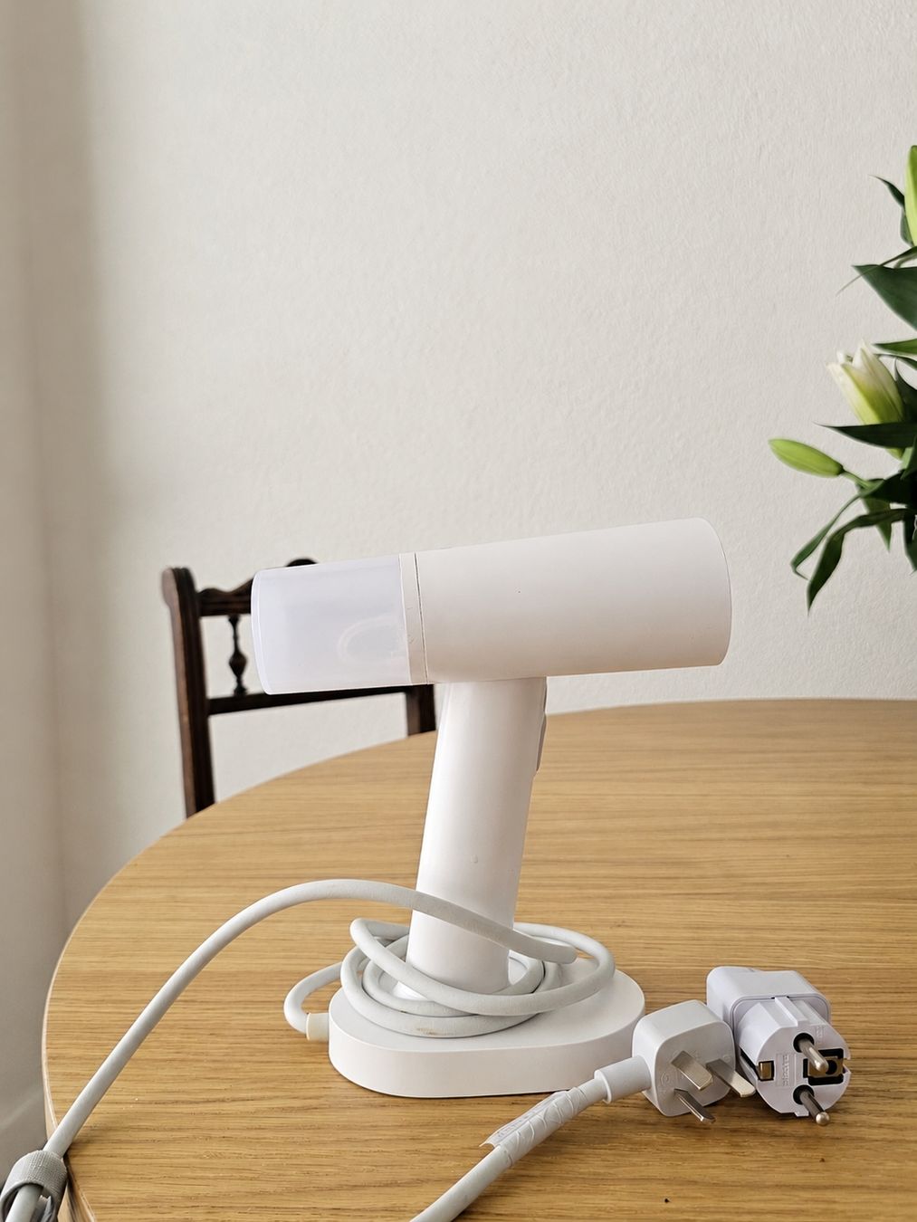 Ferri da stiro: Clothes Steamer Xiaomi  – Usato da Zürich venduto da mik_5kbr 1