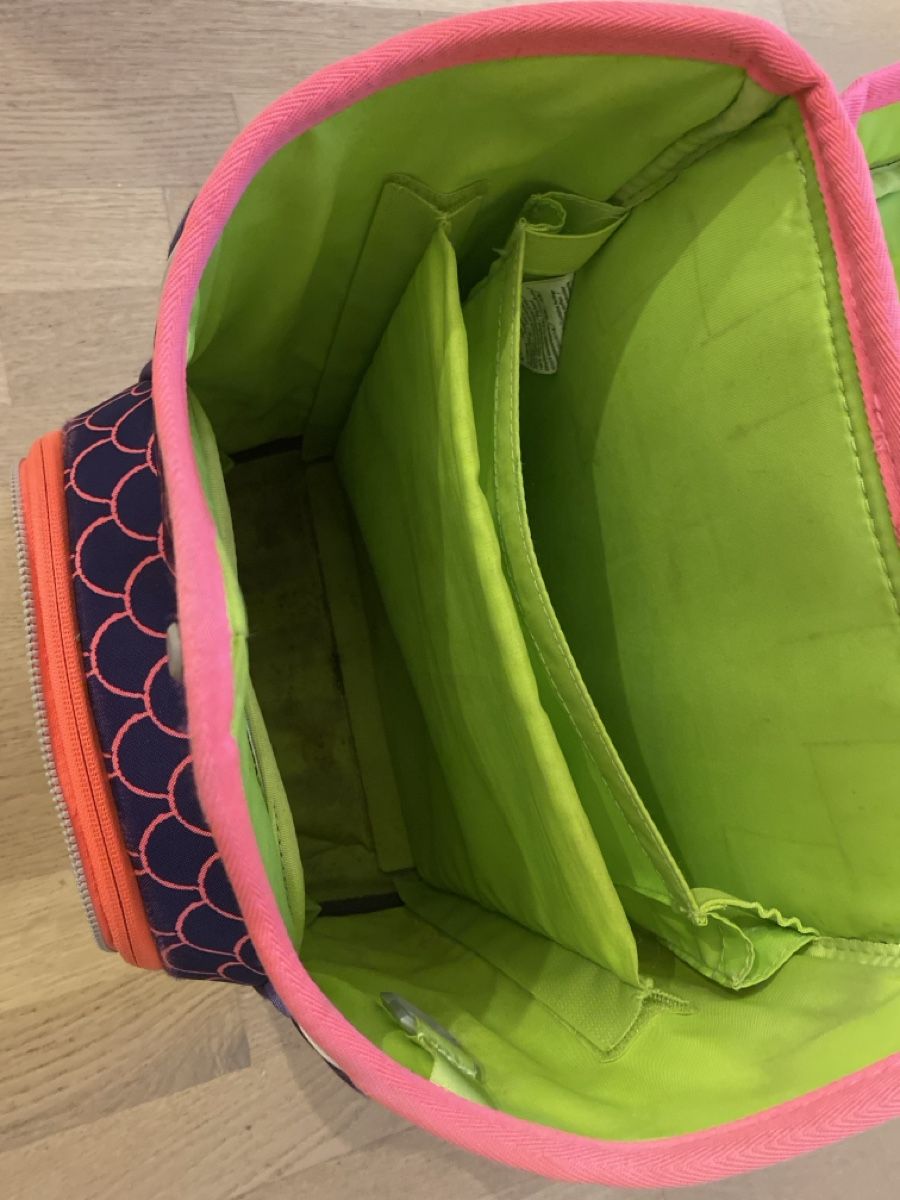 Ergobag Borse & Zaini: Ergobag Schulrucksack: Das perfekte Geschenk für Schulkinder – Usato da Wald ZH venduto da Seller_8 4