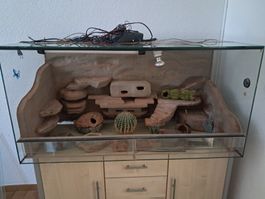 Terrarium