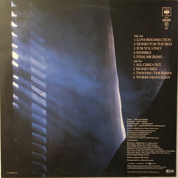 Dischi in vinile: Alison Moyet - Alf (LP) – Usato da Grüningen venduto da azulvinyl 1
