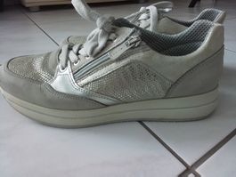 IGI & CO. SCHUHE Gr.40