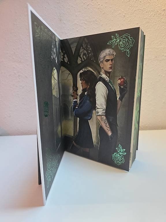 Livres: Fairyloot: Seven deadly Thorns – Neuf (Voir description) à Schlatt TG par severine99 2