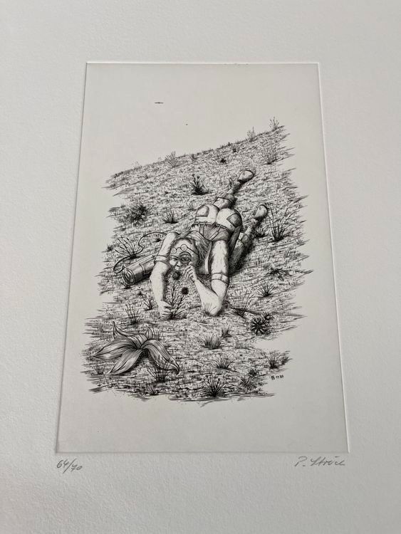Grafica & Litografie: PETER STREICH RADIERUNG SIGNIERT NUMMERIERT – Usato da Gersau venduto da grafik-kunst 2