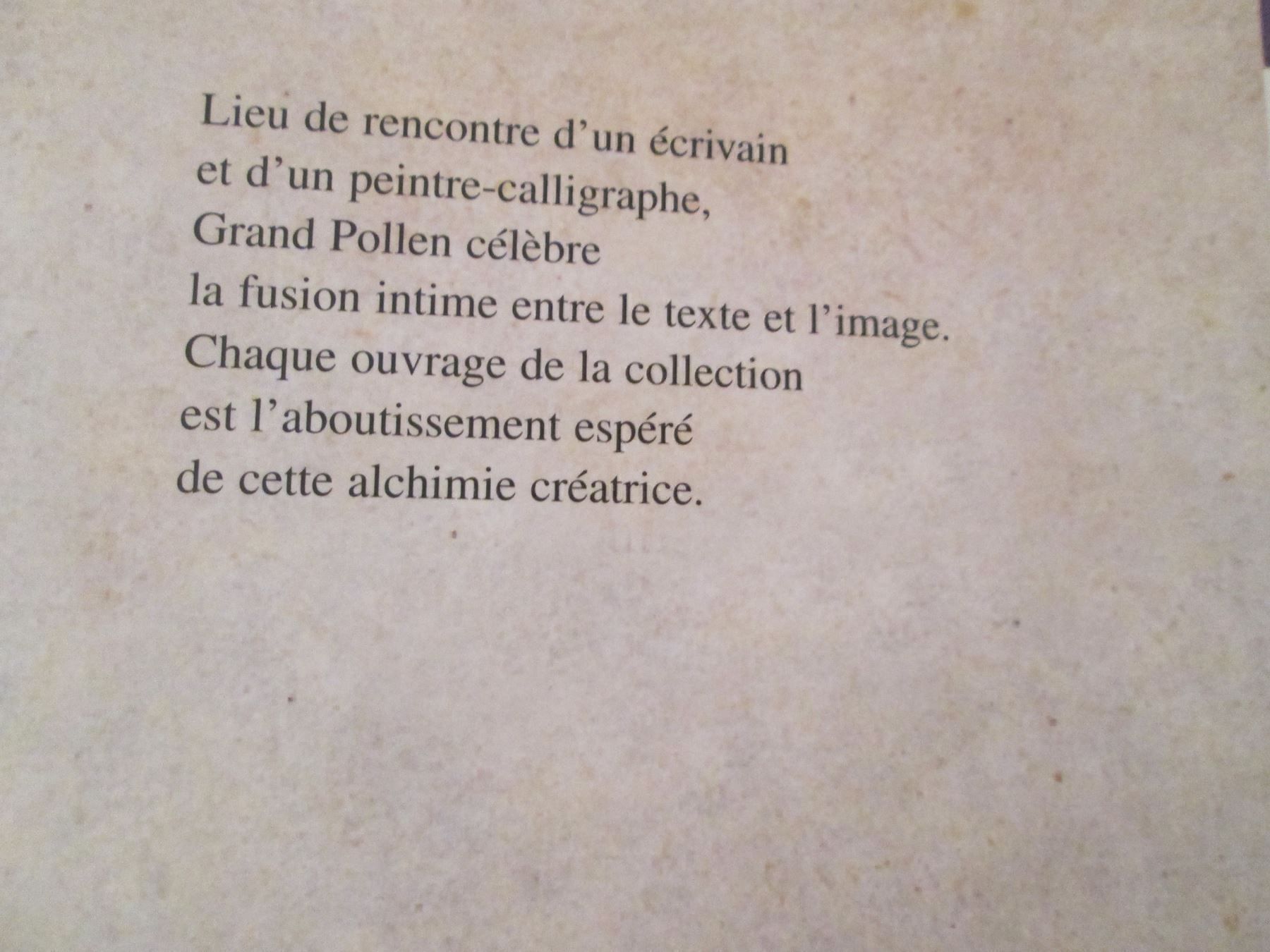 Libri: Un matin sur Babel, un soir à Manhattan – Usato da Neuchâtel venduto da Dualseele 1