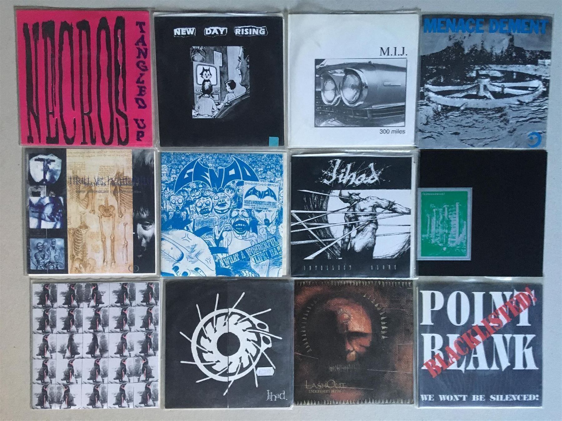 Dischi in vinile: 12 x Hardcore 7" Lash Out Point Blank Necros Metalcore Emo – Usato da Berneck venduto da rye7778