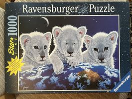 Puzzle 1000er „Babytiger“