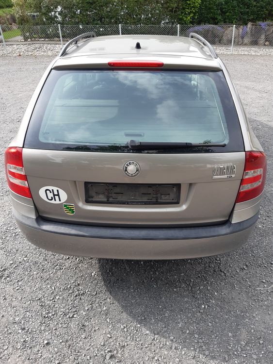Skoda Automobili: Skoda Octavia, Combi Ambiente A5 (DPF) – Usato da Obfelden venduto da mei_9kxw 2