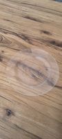 Set aus 8 Tellern Glas satiniert rund guter Zustand