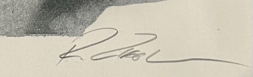 Grafica & Litografie: Rolf Ziegler, 1955 - 2010, Original Stein-Lithographie E.A. – Usato da Wohlen AG venduto da charly_22003 2