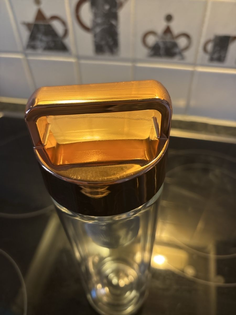 Borracce & Thermos: Fitvia Teeflasche Glas mit Sieb gebraucht – Usato da Hochfelden venduto da lor_xt2h 1