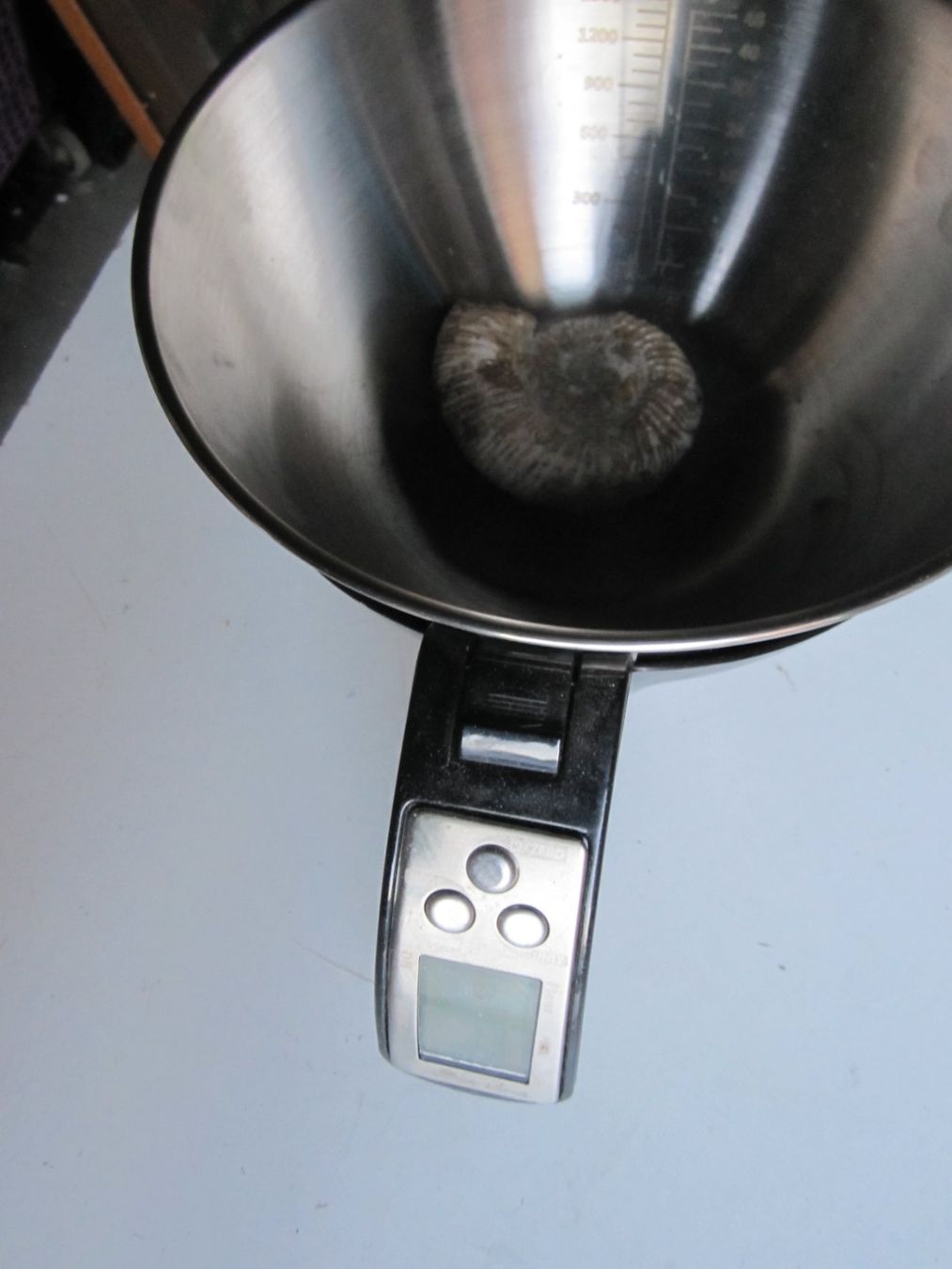 Fossili: Ammonite 3 – Nuovo (secondo la descrizione) da Weier im Emmental venduto da waefler03 4