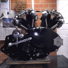 Profile image of Lanius02