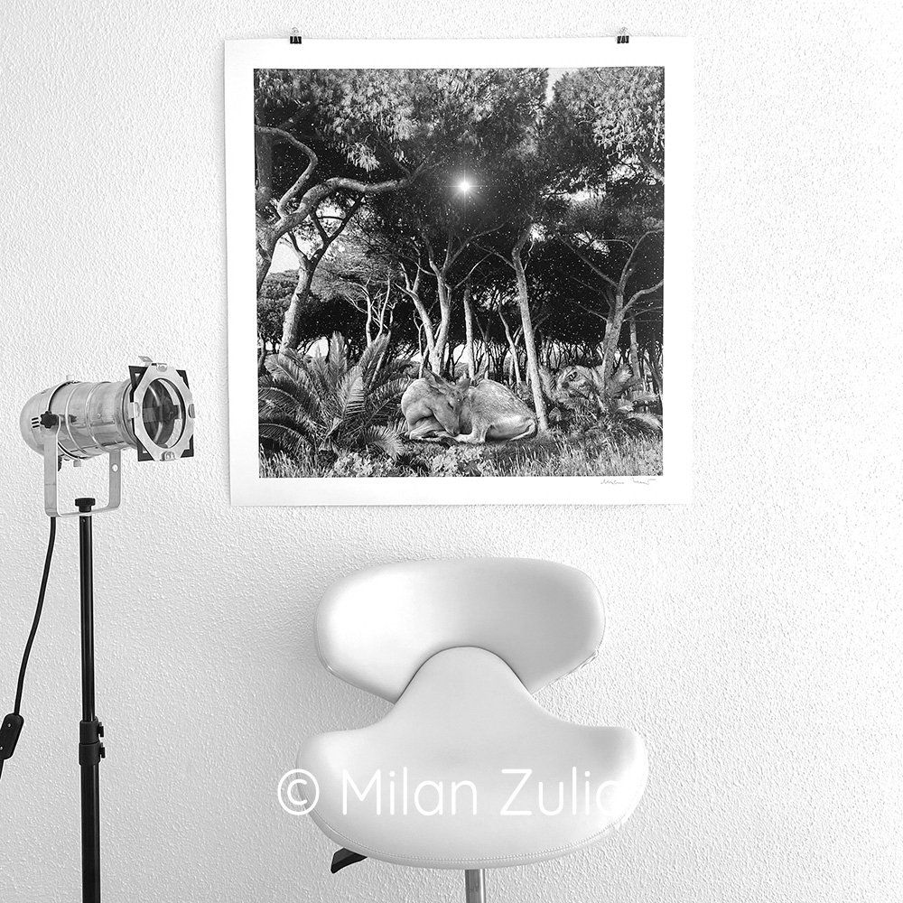 Foto & Immagini: Travel postcards 001 – Nuovo (secondo la descrizione) da Uetikon am See venduto da mil_7k2b