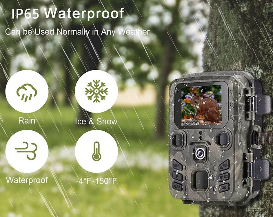 Bolyguard Wildkamera 4G - 24MP, Nachtsicht, 100m Reichweite