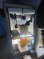 Grow Tent kit with accessories - Perfect for indoors!