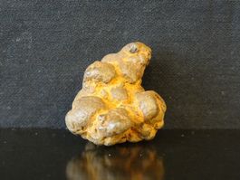 KOPROLITH Dinosaurier KOT KACKE SCHEISSE Fossil Dino Poo