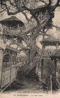 Vintage Postkarte: "Robinson - Le Vrai Arbre", Top Zustand!