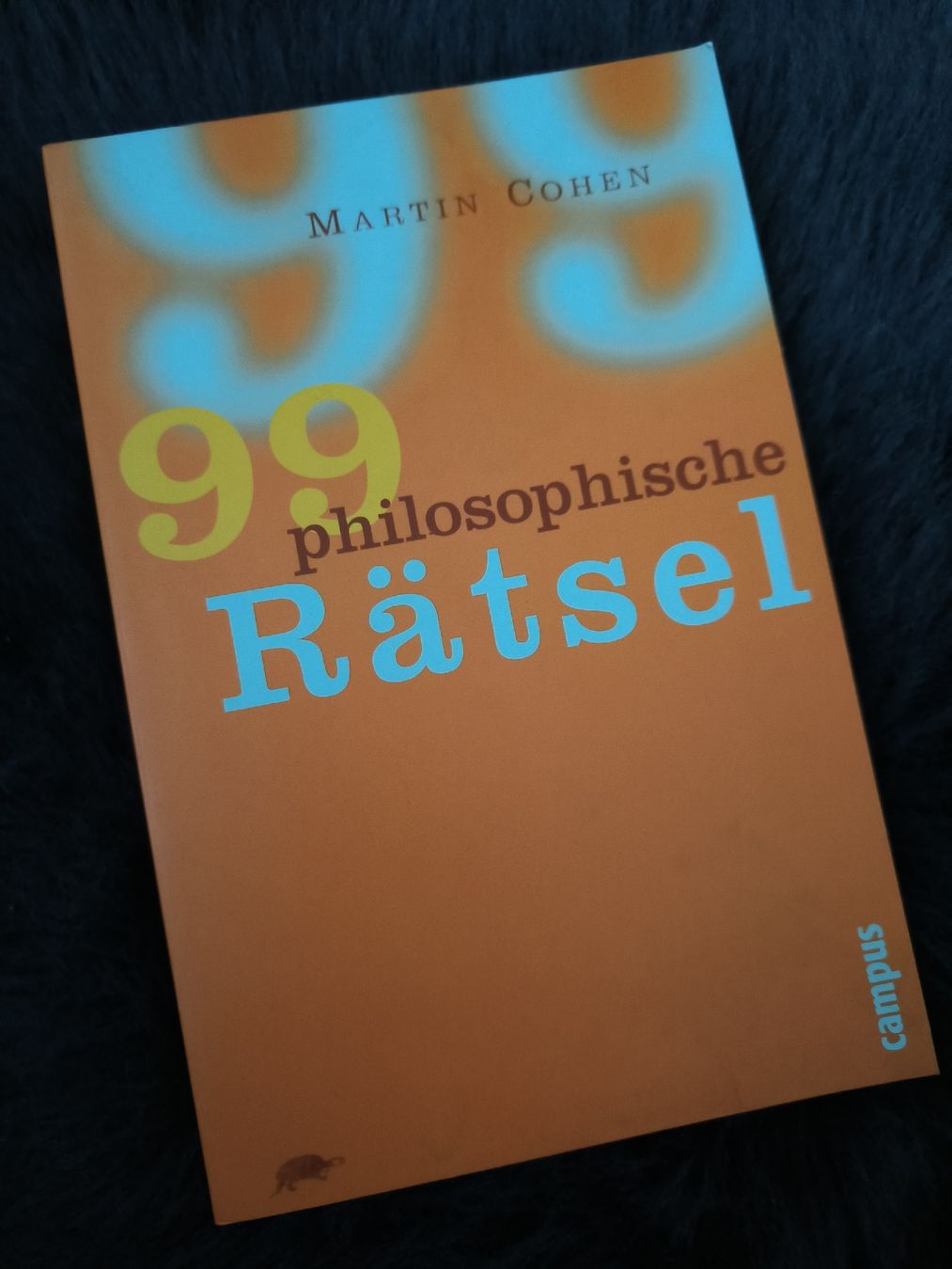 Libri: 99 philosophische Rätsel – Usato da Dietlikon venduto da Dietlikon_Verkauf