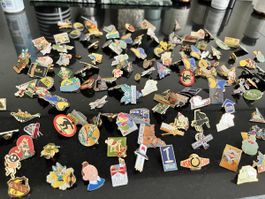 PIn Sammlung Lot 758 gramm