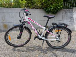 Serious Rockville Bike