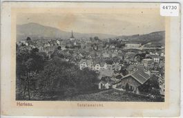 Herisau - Totalansicht