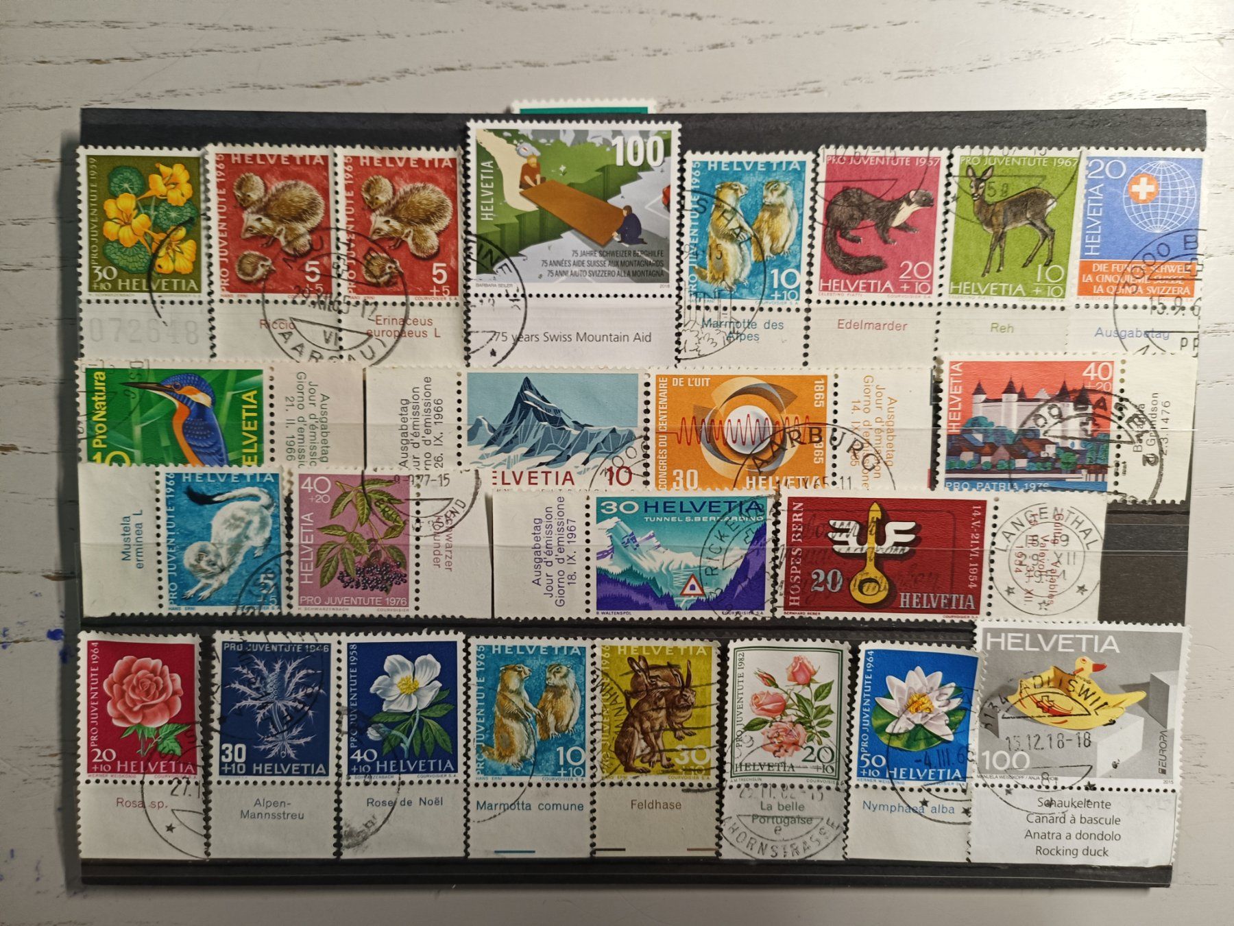 Tutti i francobolli: tolles TAB Lot Schweiz gestempelt – Usato da Dübendorf venduto da goeggi79