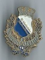 Stadtpolizei Zürich Pin