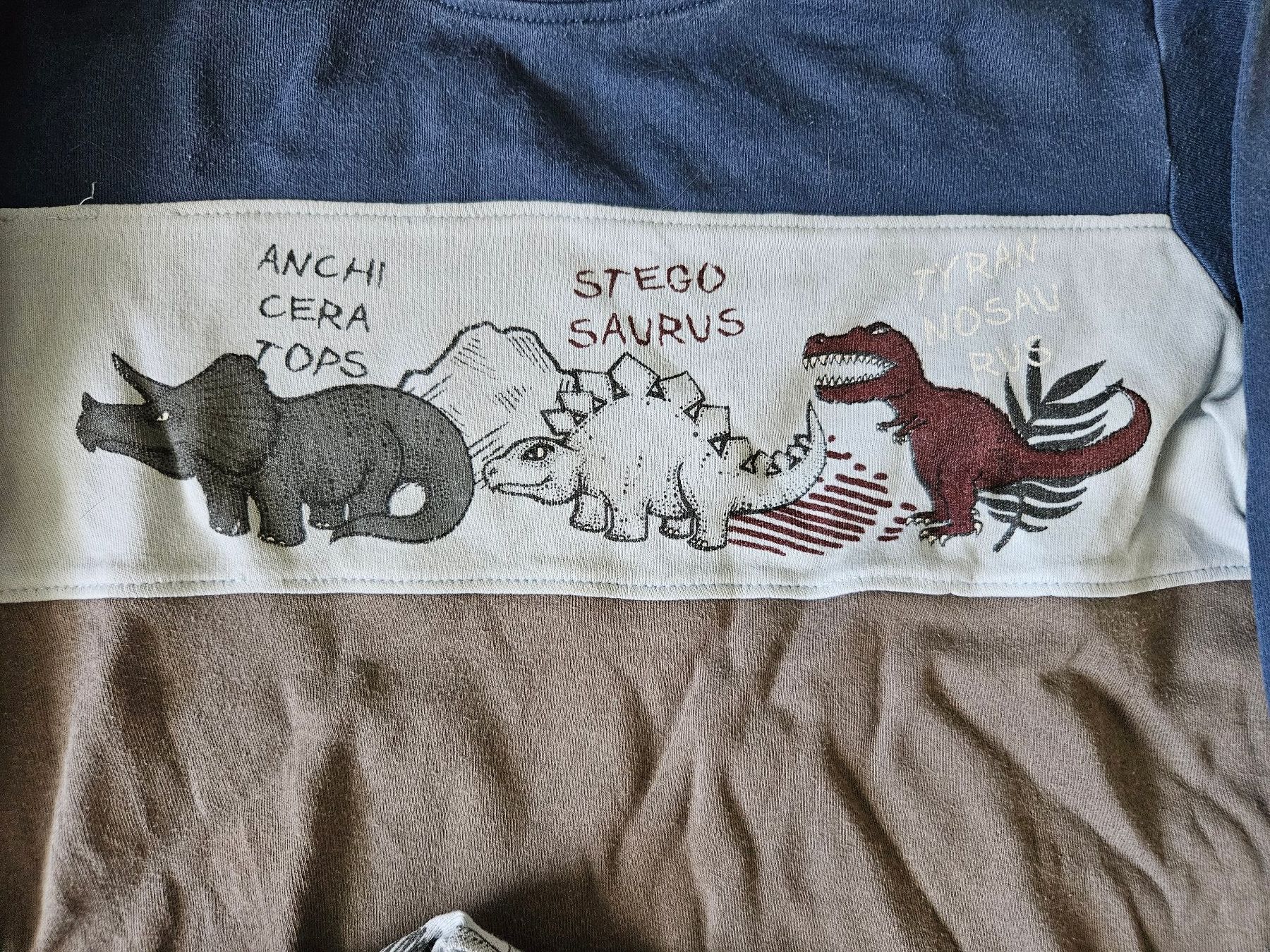 C&A Pigiama & Simili: Langarm Pyjama ca. Gr. 104 / 110 Dinosaurier C&A – Usato da Unterengstringen venduto da saraman 1