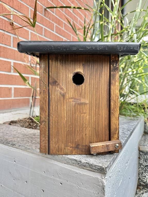Casette per uccelli: Höhlenbrüternistkasten – Nuovo e nell'imballaggio originale da Ebikon venduto da cla_bh2n