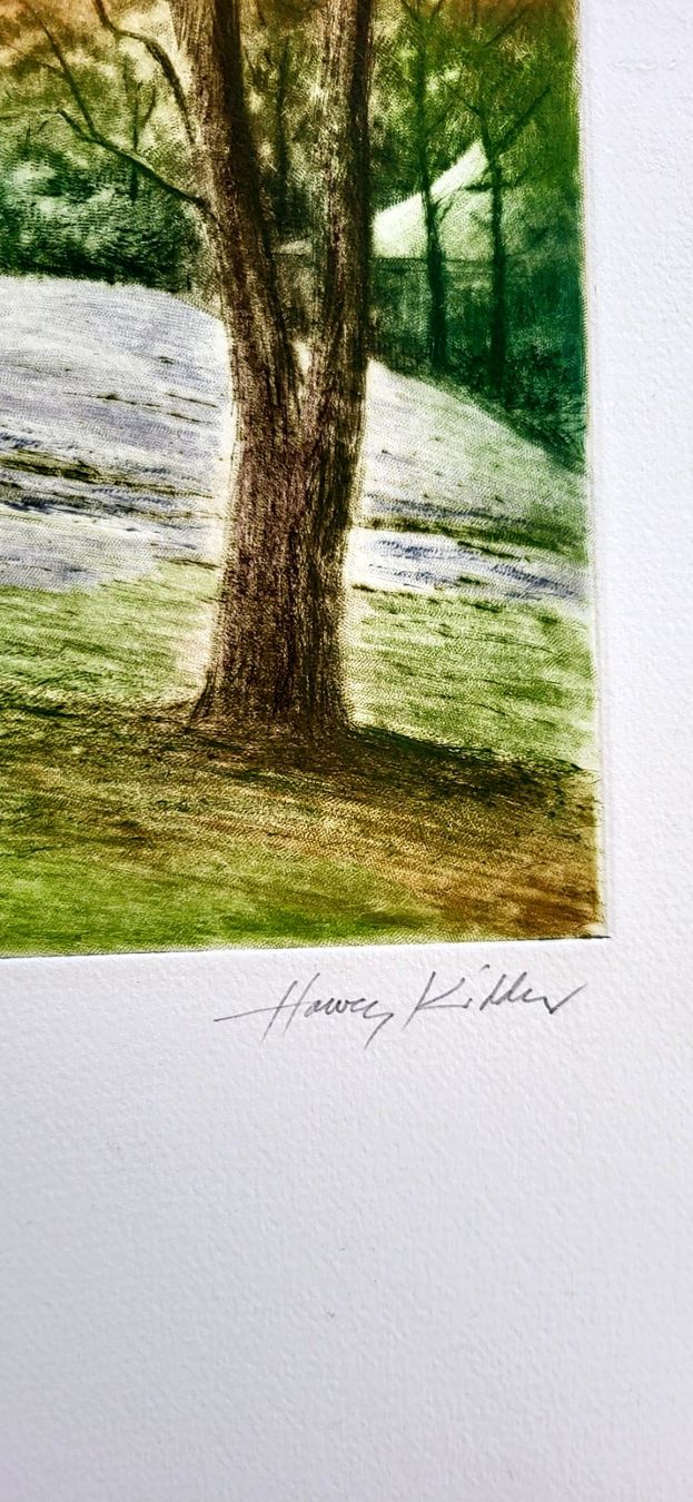 Foto & Immagini: Harvey Kidder handsigniert – Usato da Baden venduto da Digit6 2