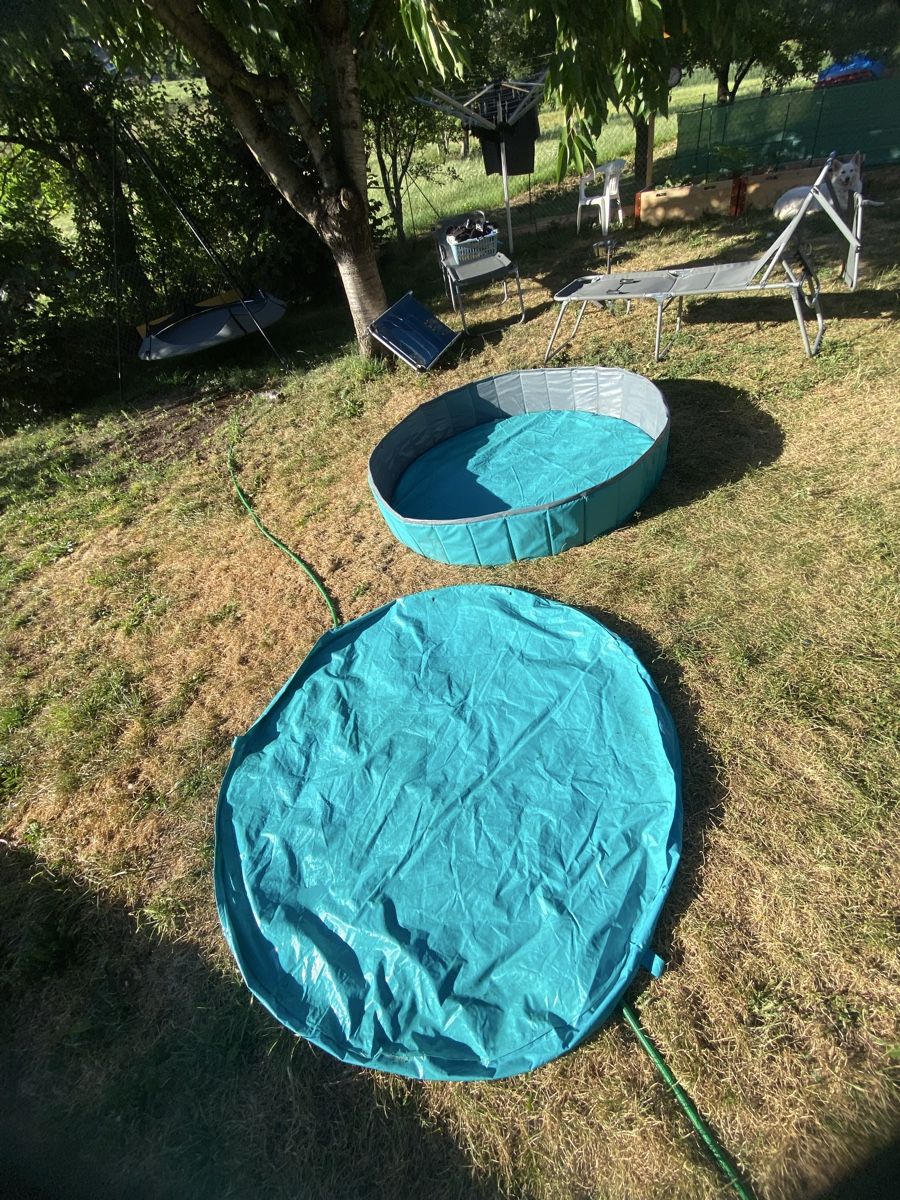 Schwimmbad: Piscine pour chien 160/30cm – Gebraucht aus La Place (Ayent) von Rinetaz 1