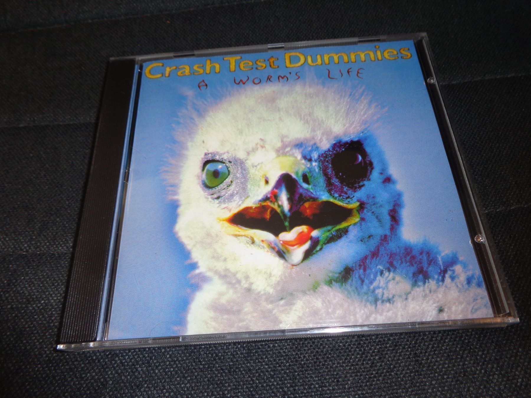 CD: Crash Test Dummies - A Worm's Life CD – Usato da Olten venduto da Disc-Ausverkauf