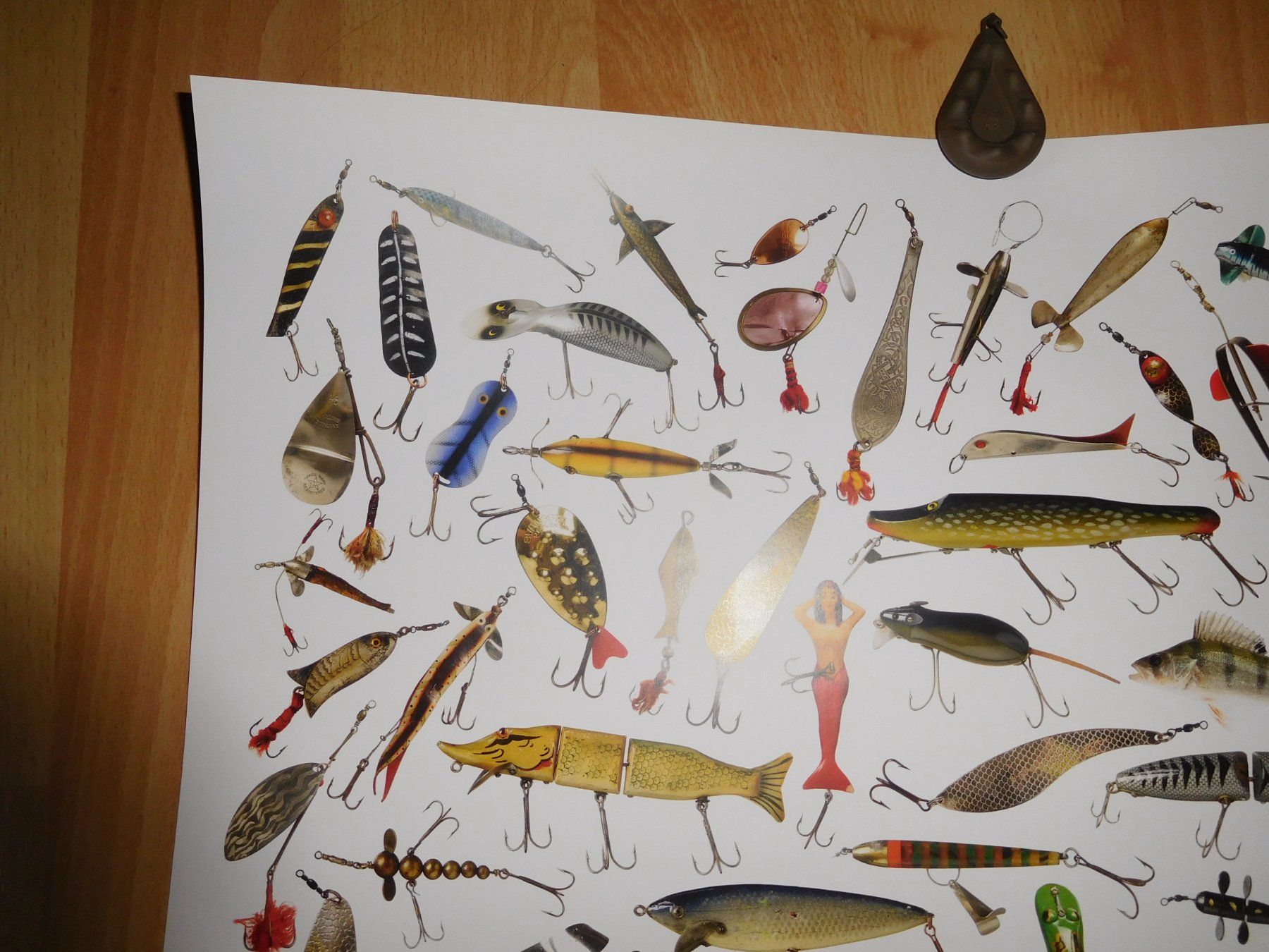 Esche: Wobbler Poster – Nuovo (secondo la descrizione) da Wallbach venduto da Pitralon1 1