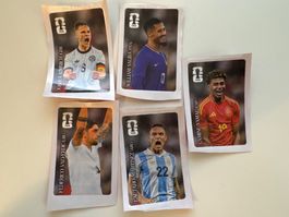 5 verschiedene Coca Cola Panini FIFA WM 2026 Sticker
