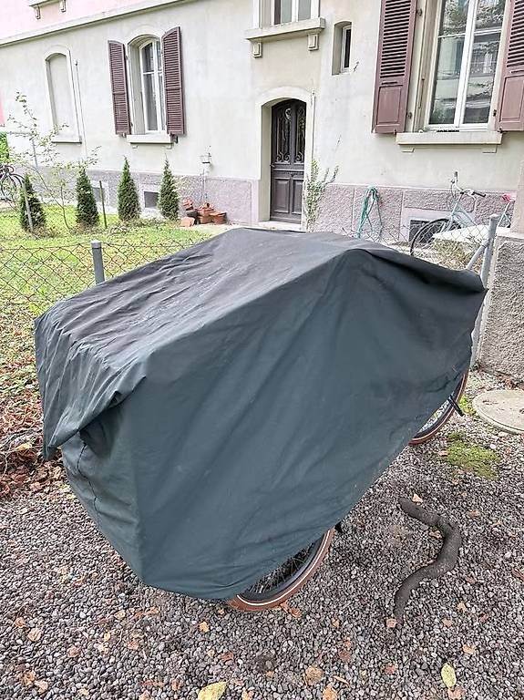 Biciclette: E-Cargo Lastenrad Cargobike mit Transportbox – Usato da Bern venduto da noasn 4